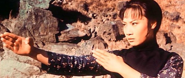 鐵掌旋風腿(1972)／アンジェラ・マオ　旋風レディ！鉄掌拳