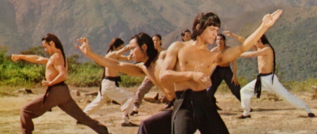 洪拳與詠春(1974)／洪家拳対詠春拳