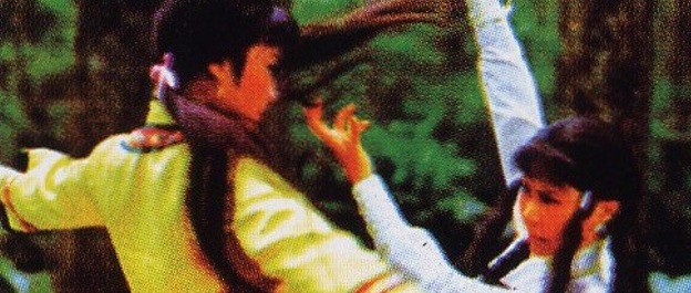 鷹爪螳螂(1977)／日本未公開