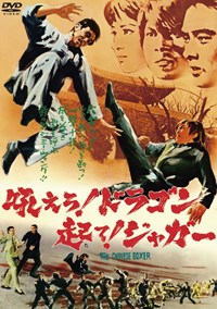 龍虎鬥(1970)／吼えろ！ドラゴン 起て！ジャガー