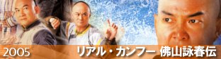 『リアル・カンフー 佛山詠春伝／佛山贊師父（2005）-TVシリーズ』の画像