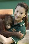 『女優ミシェール･ヨーとオラウータン／Among The Great Apes With Michelle Yeoh（2009）』の画像