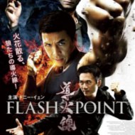 『導火線 FLASH POINT』『導火線』 『导火线』『Flash Point』