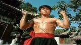真・少林寺／少林真功夫／Shaolin Kung Fu（1994-香港）